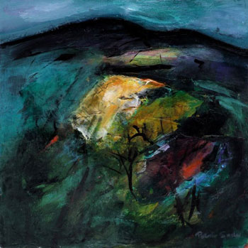 Patricia Sadler 'Pool of Sunlight on Dark Landscape'